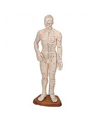 Cuerpo Humano Masculino (Caucho 46 Cm.)