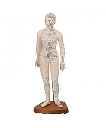 Cuerpo Humano Femenino (Caucho 48Cm.)