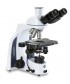 Microscopio biológico Euromex iScope IS.1153-EPL/DF