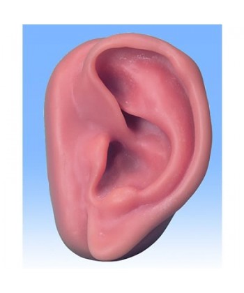 Oreja Derecha (Silicona 9,5 Cm.)