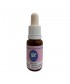 CHICORY - ESENCIA FLORAL BACH/KORTE 15 ml.