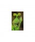 WALNUT - ESENCIA FLORAL BACH/KORTE 15 ml.