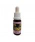 WALNUT - ESENCIA FLORAL BACH/KORTE 15 ml.