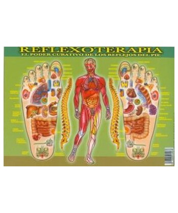 REFLEXOTERAPIA