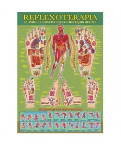 REFLEXOTERAPIA