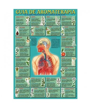 GUIA DE AROMATERAPIA