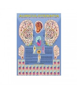 AURICULOTERAPIA