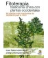 FITOTERAPIA TRADICIONAL CHINA CON PLANTAS OCCIDENTALES