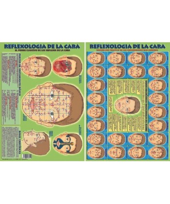 RELFEXOLOGIA DE LA CARA