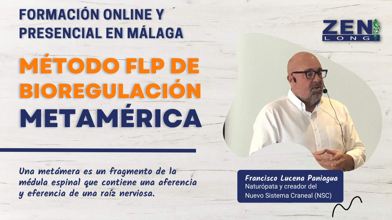 Bioregulación Metamérica