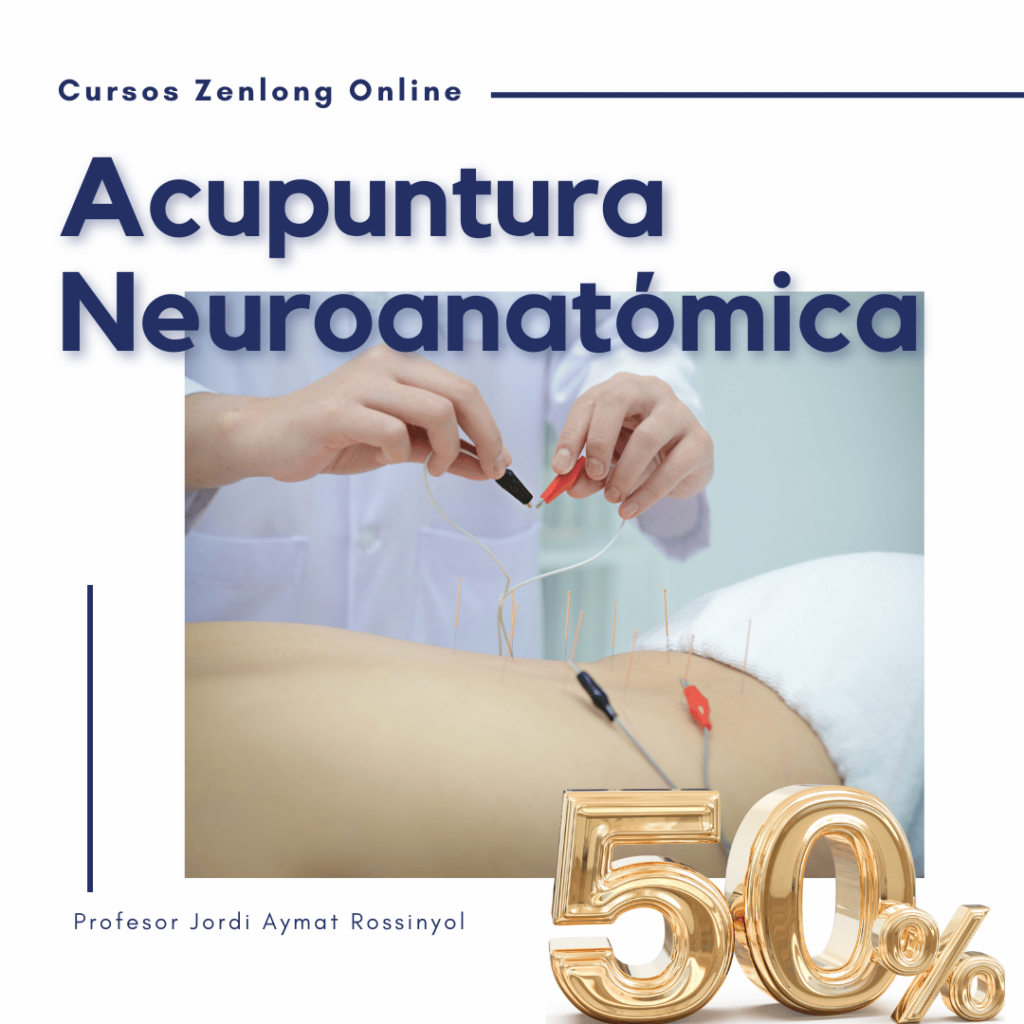 Acupuntura Neuroanatómica