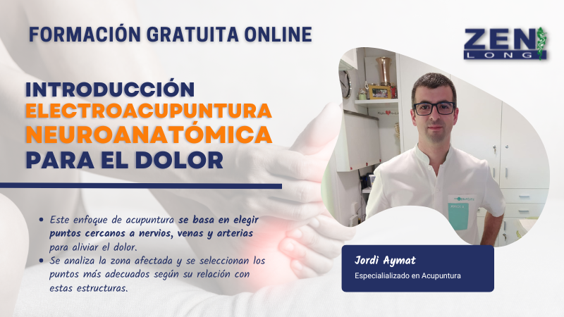 Electroacupuntura Neuroanatómica