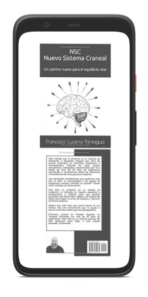 Libro NSC