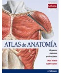 Anatomía y Fisiología