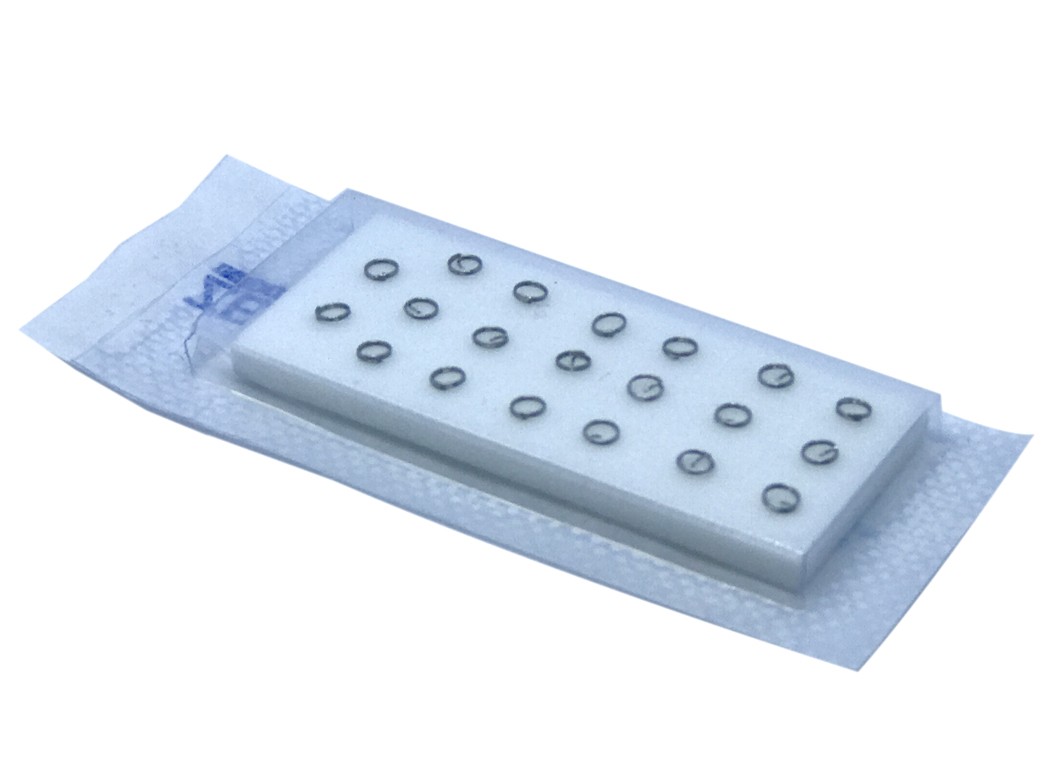 CHINCHETA CHINA CABEZA 2.5x1.5mm. - Imagen 3