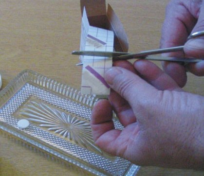 Omnifix Cinta Adhesiva Elástica 2,5cmx10m 2uds - Imagen 4