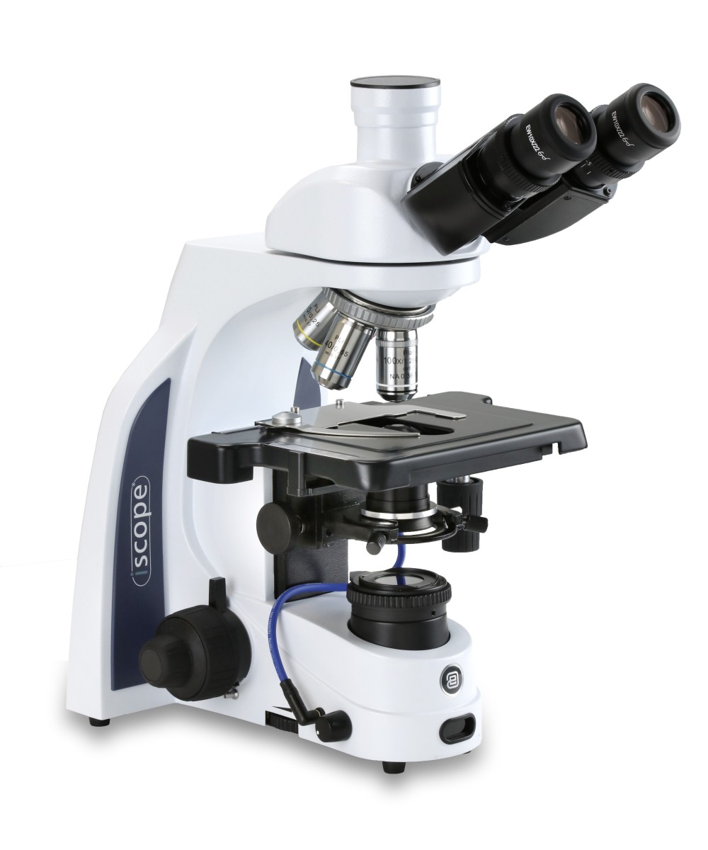 Microscopio biológico Euromex iScope IS.1153-PLi/DFi