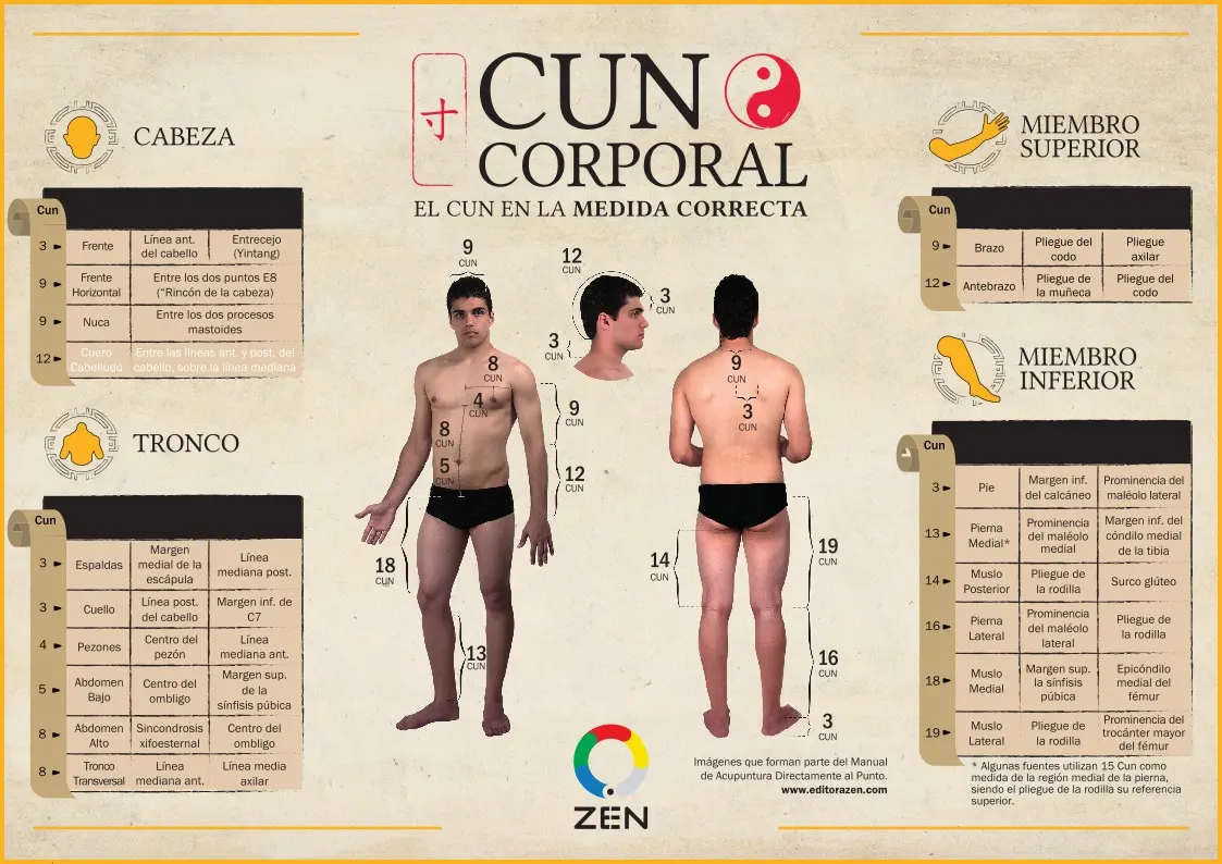 Cunnometro corporal - Imagen 4